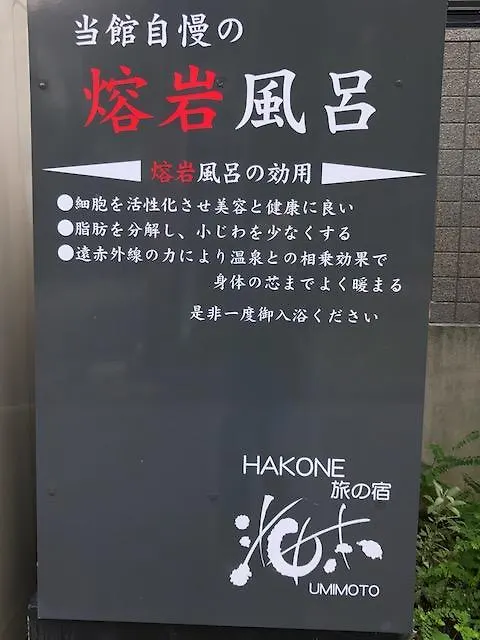 Umimoto Hotel Hakone Ryokan