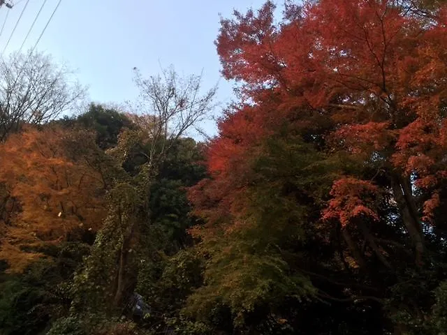 Umimoto Hotel Hakone 3*,