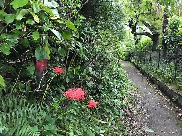 Umimoto Hotel Hakone Ryokan
