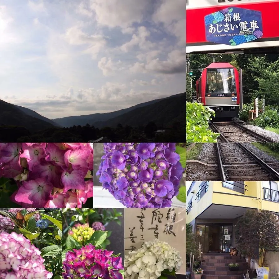 Umimoto Hotel Hakone 3*,