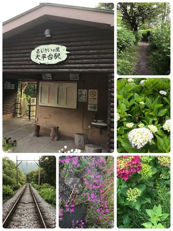 Umimoto Hotel Hakone 3*,  Japan