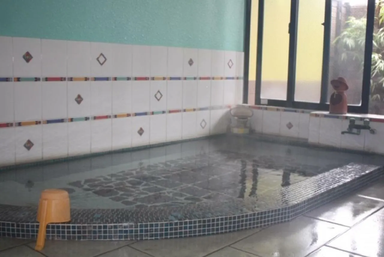 Umimoto Hotel Hakone 3*,